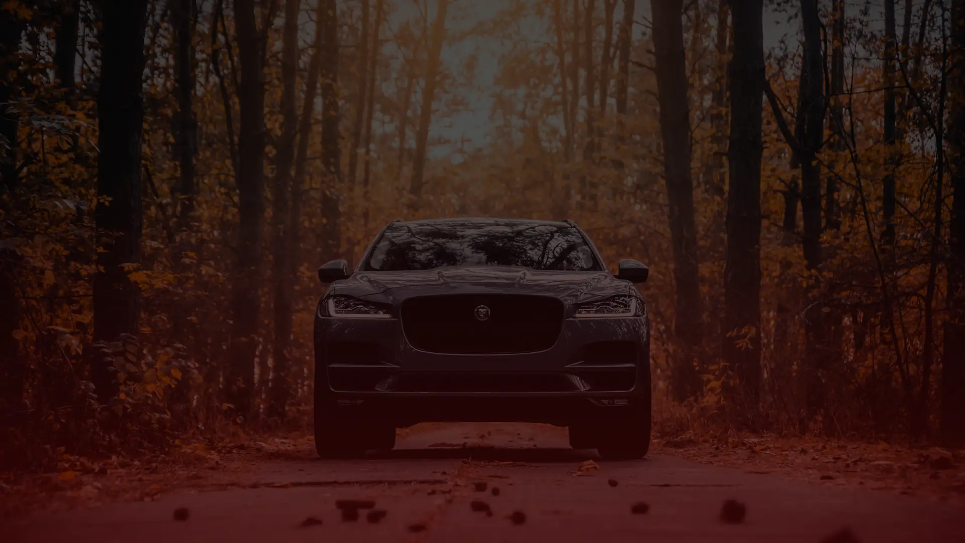 Front view of a sleek, dark-colored Jaguar on a narrow road surrounded by tall trees with autumn foliage. The moody scene, captured with warm tones, whispers the essence of fall. If youre ever cruising through Scarborough and need assistance, theres a skilled mechanic nearby ready to help. EuroMechanic | Redline Automotive | Top Reviewed Auto Repair Shop in Scarborough | Visit redlineautomotive.ca