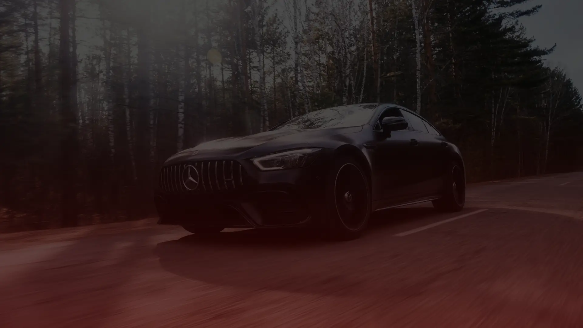 A sleek black sports car, possibly a Mercedes tuned by a top mechanic in Scarborough, glides along a forest road. Sunlight filters through the trees, casting soft shadows as the dense woods blur past, enhancing the sense of speed and elegance. EuroMechanic | Redline Automotive | Top Reviewed Auto Repair Shop in Scarborough | Visit redlineautomotive.ca